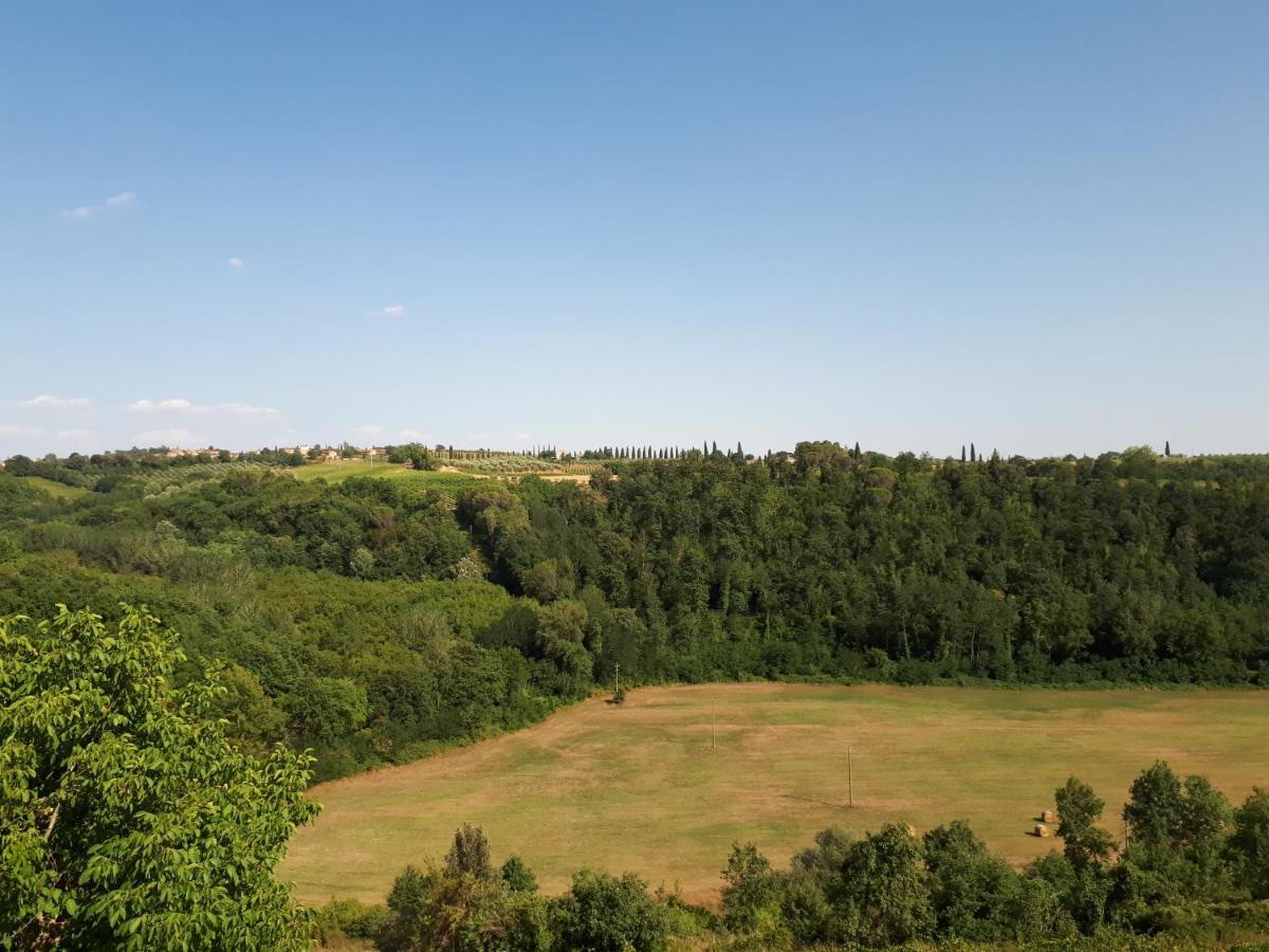 Podere Calcinaia Castelnuovo Berardenga Exterior photo