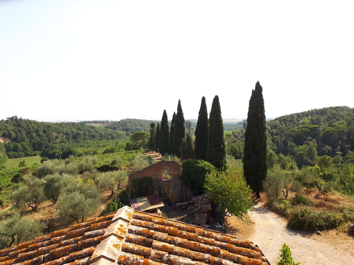 Podere Calcinaia Castelnuovo Berardenga Exterior photo