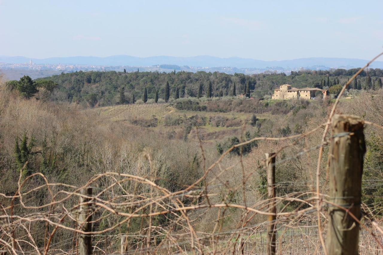 Podere Calcinaia Castelnuovo Berardenga Exterior photo